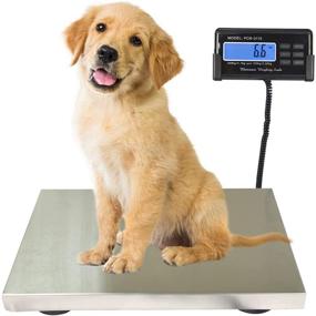 img 4 attached to 🐾 440lbs Livestock, Pet, and Vet Scale - Digital Stainless Steel Platform for Electronic Postal Shipping, Industrial Floor, and Heavy Duty Dog Weighing - SurmountWay