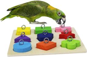 img 4 attached to Enhance Cognitive Skills with Rypet Bird Intelligence Training Toy - Educational Wooden Block Puzzle for Small and Medium Parrots and Birds