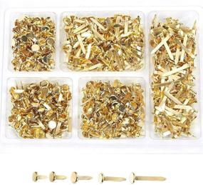 img 4 attached to 📎 Juvale Mini Brads Fasteners: 5 Assorted Sizes in Gold (500 Pieces) - The Perfect Crafting Essential!