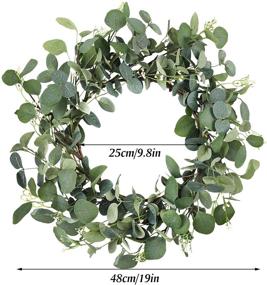 img 3 attached to 🌿 CEWOR 19-Inch Artificial Eucalyptus Green Leaf Wreath - Outdoor Spring Summer Ornaments for Front Door, Wall, Window - Farmhouse Décor