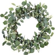 🌿 cewor 19-inch artificial eucalyptus green leaf wreath - outdoor spring summer ornaments for front door, wall, window - farmhouse décor логотип