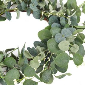 img 2 attached to 🌿 CEWOR 19-Inch Artificial Eucalyptus Green Leaf Wreath - Outdoor Spring Summer Ornaments for Front Door, Wall, Window - Farmhouse Décor