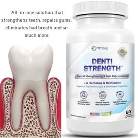 img 2 attached to Усилите здоровье полости рта с DENTI Strength: здоровое решение для зубов и десен, 60 овощных капсул