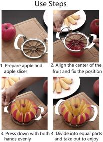 img 2 attached to Hedume Apple Slicer: 12-Blade Corer, Stainless Steel Fruit Slicer for Apples, Pears, Oranges, and More