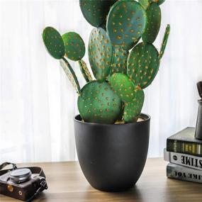 img 1 attached to 🌵 Large Artificial Cactus - 34.2" Faux Fake Desert Plant with Black Planter for Home, Garden, and Office Floor Decor - NCYP