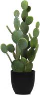 🌵 large artificial cactus - 34.2" faux fake desert plant with black planter for home, garden, and office floor decor - ncyp логотип