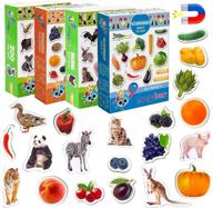 magdum magnets fridge fruits photo logo