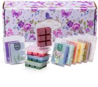 🕯️ natural scents series scented wax melts - 12x2.5 oz cubes logo