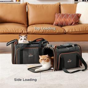 img 3 attached to Lesure TSA Airline Approved Pet Carrier: Expandable Cat Carrier & Travel Dog Carriers 🐾 - Soft-Sided Portable Puppy Carrier with Sherpa Pad - Ideal for Small Dogs and Cats
