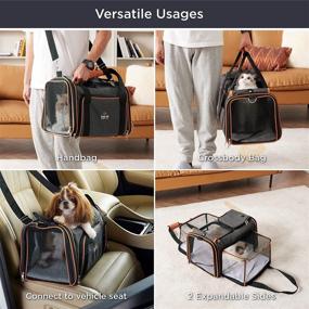 img 2 attached to Lesure TSA Airline Approved Pet Carrier: Expandable Cat Carrier & Travel Dog Carriers 🐾 - Soft-Sided Portable Puppy Carrier with Sherpa Pad - Ideal for Small Dogs and Cats