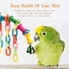 img 2 attached to 🐦 Shellkingdom Parrot Toys: Premium Hanging Wooden Ladder, Hammock Chew Perches, Bells - Perfect for Macaws, Cockatiels, Parakeets, African Grey Parrot, Lorikeets, Conures