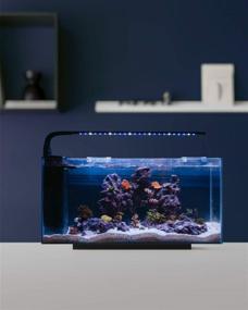 img 1 attached to 🐠 JBJ Rimless Desktop 10 Gallon Flat Panel Peninsula with 9W Lyra LED: Sleek & Energy-Efficient Aquarium Solution