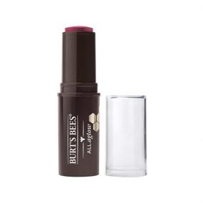 img 4 attached to 💄 Burt's Bees 100% Natural Lip & Cheek Stick: Lilac Lagoon - 1 Tube