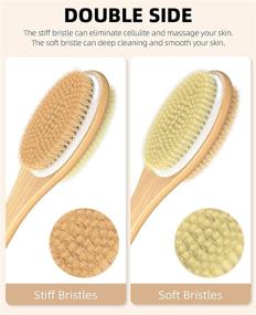 img 3 attached to 🚿 Metene Dual-Sided Shower Brush: Soft and Stiff Bristles, Exfoliating Skin, Wet/Dry Brushing, Long Wooden Handle for Easy Body Cleansing