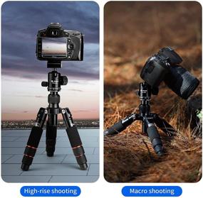 img 2 attached to 📸 Fotopro M-4S 17.52” Portable Desktop Mini Tripod for Camera, Compact Aluminum Mini Tripod with 360 Degree Ball Head, 1/4” Quick Release Plate, for DSLR Camera, Video Camcorder, Load Capacity up to 8kg/17.64lb