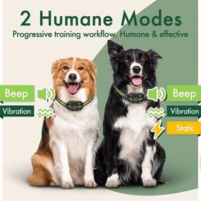 img 1 attached to 🐕 Medium and Large Dog Bark Collar - Rechargeable No Bark Collar with 5 Sensitivity Levels, Beep, Vibration, Shock Modes - Safe & Humane Auto Bark Correction