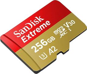 img 1 attached to 📷 SanDisk Extreme 256GB Micro SD Memory Card for GoPro Hero 9 Black UHS-1 U3 / V30 A2 4K Class 10 (SDSQXA1-256G-GN6MN) – Bundle with 1 Everything But Stromboli MicroSD Card Reader