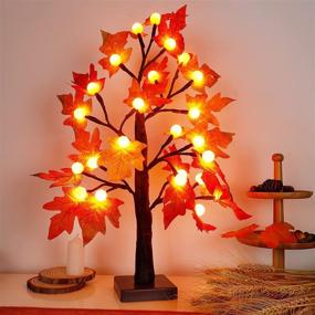img 4 attached to 🍁 Artificial Fall Maple Tree with Pumpkin Shape Lights - Glory Island 24 LED Thanksgiving Tabletop Decoration with Timer for Indoor Home Wedding Autumn Harvest Decor