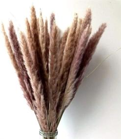 img 1 attached to 🌾 American Raven Natural Dried Pampas Grass Plumes - 45cm Tall - Fresh & Natural Vase for Wedding Entrance, Home Decor, or Office Decoration