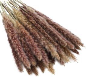 img 2 attached to 🌾 American Raven Natural Dried Pampas Grass Plumes - 45cm Tall - Fresh & Natural Vase for Wedding Entrance, Home Decor, or Office Decoration