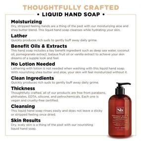 img 1 attached to 🥥 Coconut Milk & Sandalwood Soapbox Liquid Hand Soap - Moisturizing Hand Wash for Kitchen and Bathroom - 12 Ounce Pump Bottles (Pack of 3)