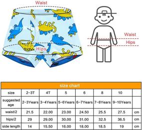 img 1 attached to Трусы для малышей с динозавром на тему: удобная одежда для мальчиков, чтобы максимально милее выглядеть!