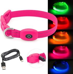 img 3 attached to 🐾 Domagiker Rechargeable LED Collar for Small Dogs and Cats - Glowing Light Up Puppy Collar for Night Walking and Camping