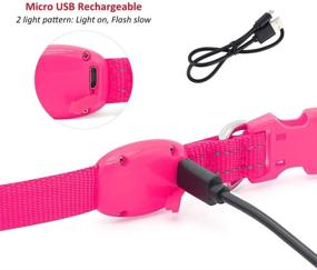 img 2 attached to 🐾 Domagiker Rechargeable LED Collar for Small Dogs and Cats - Glowing Light Up Puppy Collar for Night Walking and Camping