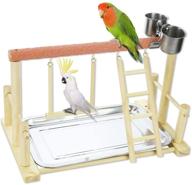 🦜 echaprey pet parrot playstand: ultimate wood perch gym with feeder cups, ladder, swing toys, and tray included logo
