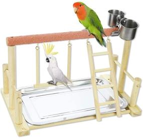 img 4 attached to 🦜 Echaprey Pet Parrot Playstand: Ultimate Wood Perch Gym with Feeder Cups, Ladder, Swing Toys, and Tray Included