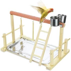 img 3 attached to 🦜 Echaprey Pet Parrot Playstand: Ultimate Wood Perch Gym with Feeder Cups, Ladder, Swing Toys, and Tray Included