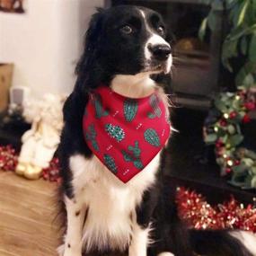 img 1 attached to 🎄 Festive Holiday Style: BoomBone Christmas Dog Bandana 2 Pack - Triangle Bibs Pet Scarf for Dogs and Cats, from Small to Large Breeds