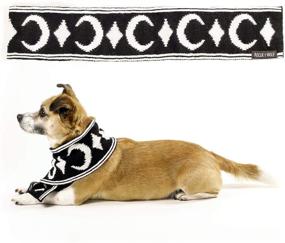 img 4 attached to 🐾 Rogue + Wolf Cute Dog Clothes Scarf: Must-have Pet Accessories for Extra Small to Large Dogs & Cats!