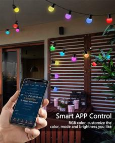 img 1 attached to Waterproof Outdoor Patio String Lights RGBW with Shatterproof Bulbs – Dimmable 48ft Backyard Lights for Garden, Bistro, Porch, Balcony, Party – Bluetooth App & Remote Control Included