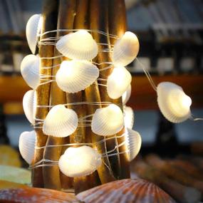 img 4 attached to Impress Life Seashell Nautical Scallops String Lights Decoration – Ocean Beach Summer Wedding Home Party Decor with Remote Control