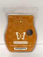 scentsy pumpkin cinnamon swirl squares логотип