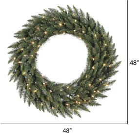 img 2 attached to 🎄 Vickerman 48" Camdon Fir Artificial Christmas Wreath with Warm White LED Mini Lights - Faux Holiday Wreath for Indoor Seasonal Home Decor