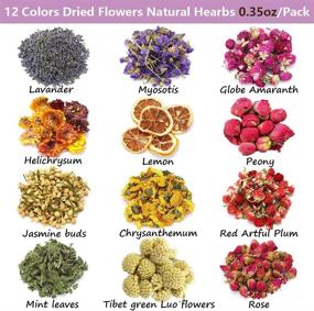 img 3 attached to Dried Flowers and Natural Herbs: Perfect for Soap Making Bliss