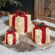 enhance your space: lights4fun, inc. set of 3 led box decorations in red & white – perfect for indoor & outdoor use logo