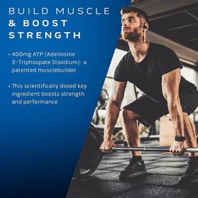 img 3 attached to 💪 MuscleTech Muscle Builder: Advanced Muscle Building Supplement for Men & Women with Nitric Oxide Booster - Enhances Strength, 400mg of Peak ATP, 30 Pills