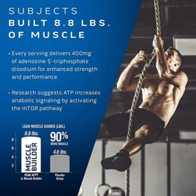 img 2 attached to 💪 MuscleTech Muscle Builder: Advanced Muscle Building Supplement for Men & Women with Nitric Oxide Booster - Enhances Strength, 400mg of Peak ATP, 30 Pills