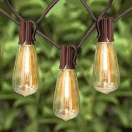 🌼 afirst led outdoor edison lights – waterproof patio string lights for party wedding backyard – 20ft with 22 connectable bulbs logo