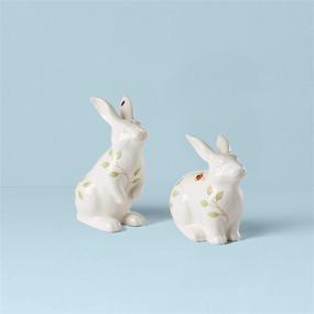 img 3 attached to 🐇 Lenox Butterfly Meadow Bunny Salt & Pepper Set 0.50 LB - Vibrant Multi-Colored Design