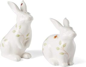 img 4 attached to 🐇 Lenox Butterfly Meadow Bunny Salt & Pepper Set 0.50 LB - Vibrant Multi-Colored Design