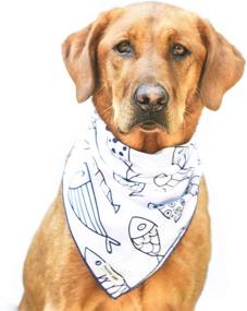 img 3 attached to Kendall Wags Dog Bandanas Accessories Dogs for Apparel & Accessories