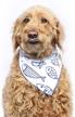 kendall wags dog bandanas accessories dogs for apparel & accessories logo