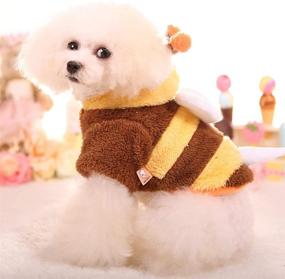 img 1 attached to 🐝 Cuteness Overload: Meihejia Bee Small Dog Costume - Funny Puppy Clothes & Cat Sweater