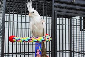 img 2 attached to Birds LOVE Cotton Rope Comfy Cable Perches: Find the Perfect Fit for Your Bird's Cage!