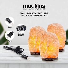 img 3 attached to 🌟 3 Pack Natural Hand Carved Himalayan Salt Lamp with Dimmer Cord & Beautiful Wood Base - Includes Light Bulb, Ideal for Great Room Decor and Night Light, 6-8" Tall...