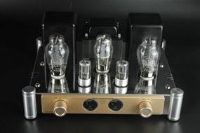 img 2 attached to 🎵 BoyuuRange A50 MKIII 300B HiFi Integrated Tube Amplifier - Single-End Class A Valve Amp with Tube Cage